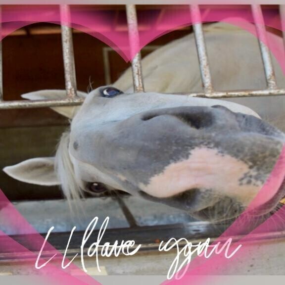 ちょっと帯広に行って来ます♪（願望）