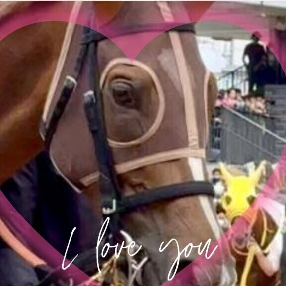 ヴェルミセルちゃんも?(?ｖ?｡)