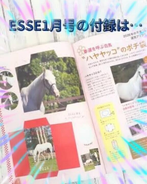 ハヤヤッコ兄さんが付録に(ӦｖӦ｡)