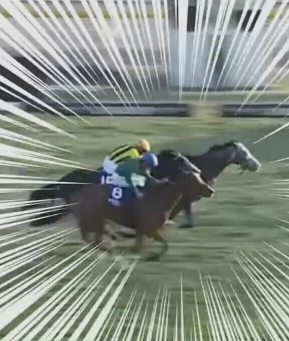 イジリたおされるテラ君?(?ｖ?｡)