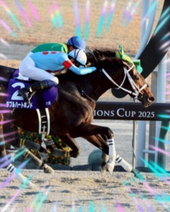 ハリオ君お疲れ様〜(ӦｖӦ｡)