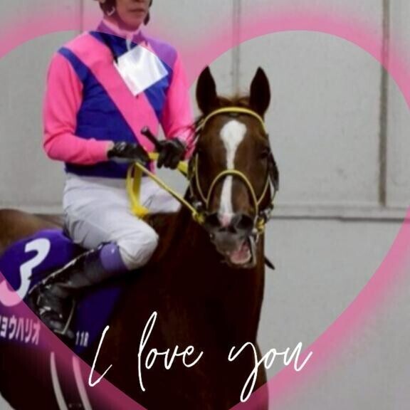 年内引退は変わらずですが…?