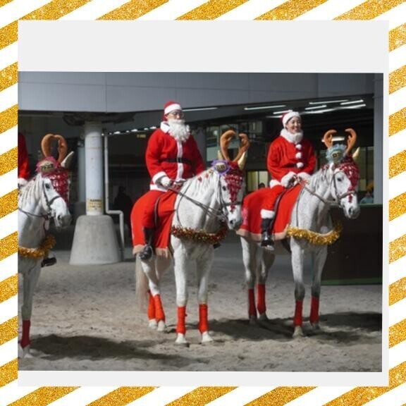 川崎行きたいなぁ?(?ｖ?｡)?(?ｖ?｡)