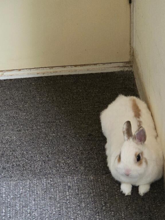 おはようございます