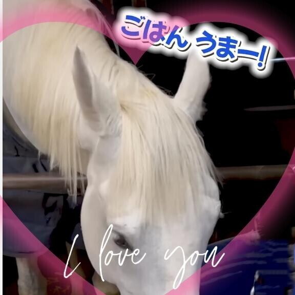 お休みなさい(-_-)zzz