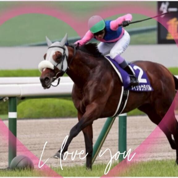 タバル君の次走♪ヽ(｀▽´)/♪