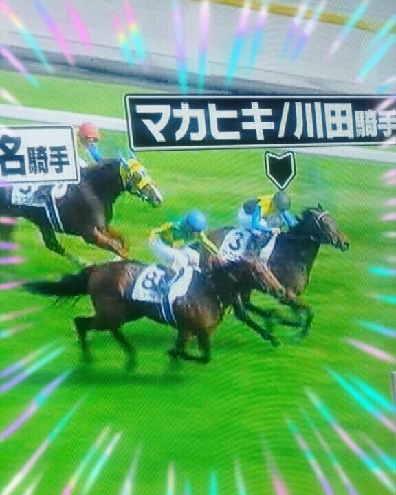 「ドゴーン大賞」♪ヽ(｀▽´)/（笑）