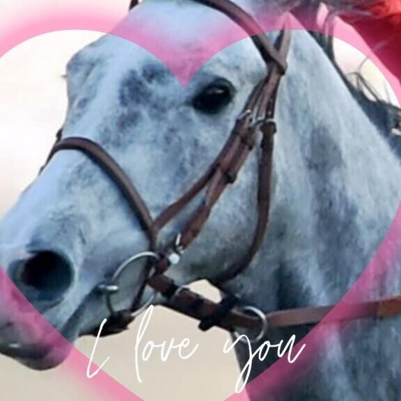 昨日の「小倉日経賞」に♪ヽ(｀▽´)/♪