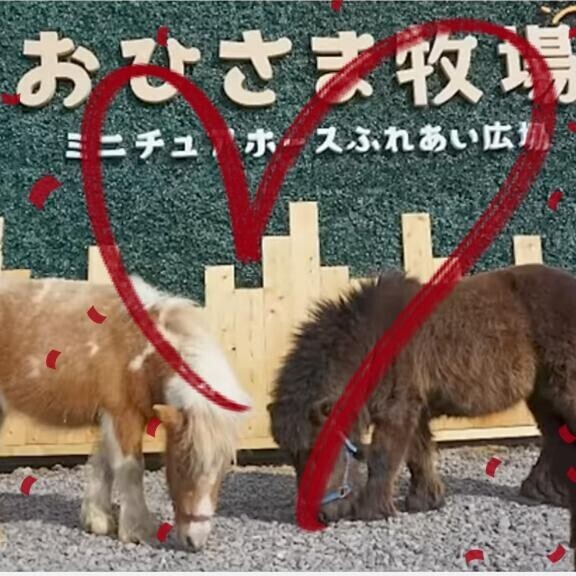 ちょっと北海道に行って来ます♪（願望）