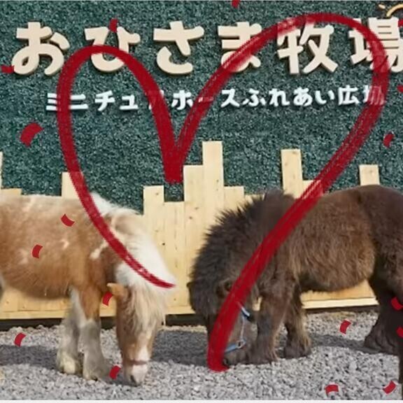 ちょっと北海道に行って来ます（願望）