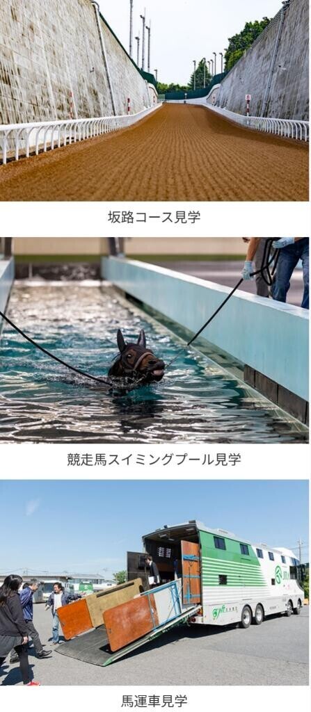 行きたいなぁ～?(?ｖ?｡)