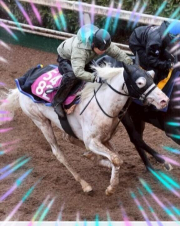 マルガちゃんの追い切り～?