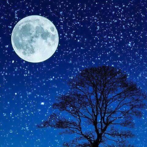 楽しかったです