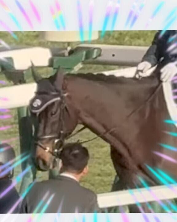 ディープボンド君♪