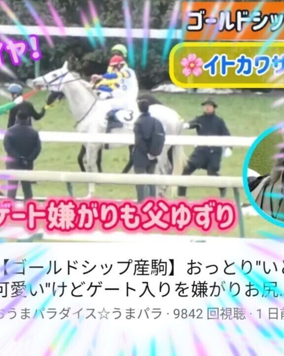 朝から幸せ(ӦｖӦ｡)(ӦｖӦ｡)