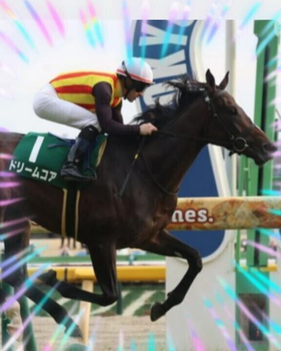 マルガちゃん残念