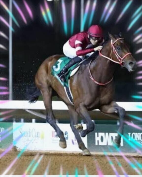 瑠星おめでとう～～～?(?ｖ?｡)?(?ｖ?｡)