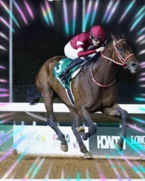 瑠星おめでとう〜〜〜(ӦｖӦ｡)(ӦｖӦ｡)