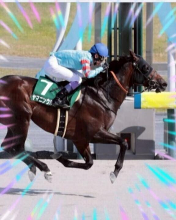 ヤマニンウルス君…??