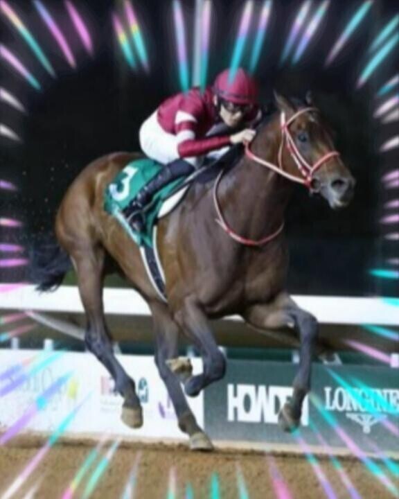 馬主様の野望…?