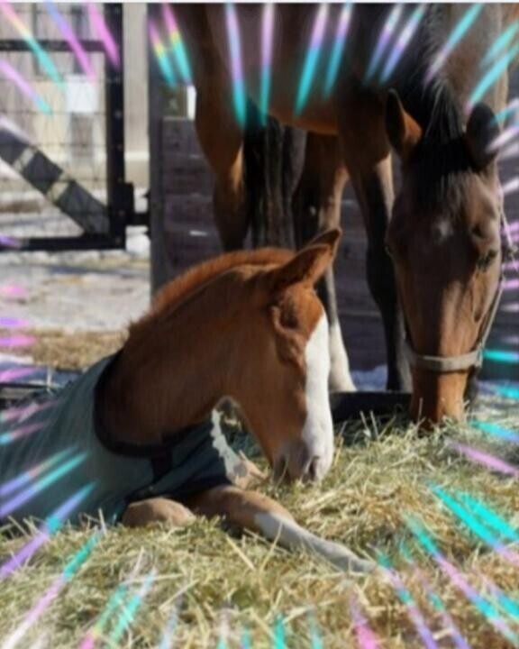 可愛い弟君?(?ｖ?｡)