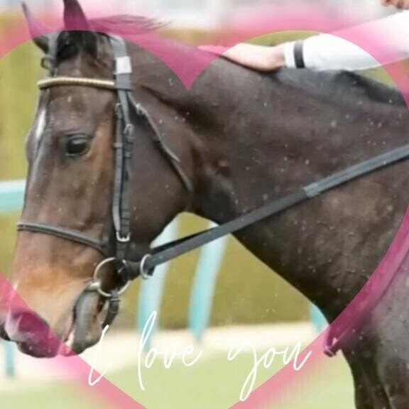 ロータスランドちゃん?(?ｖ?｡)