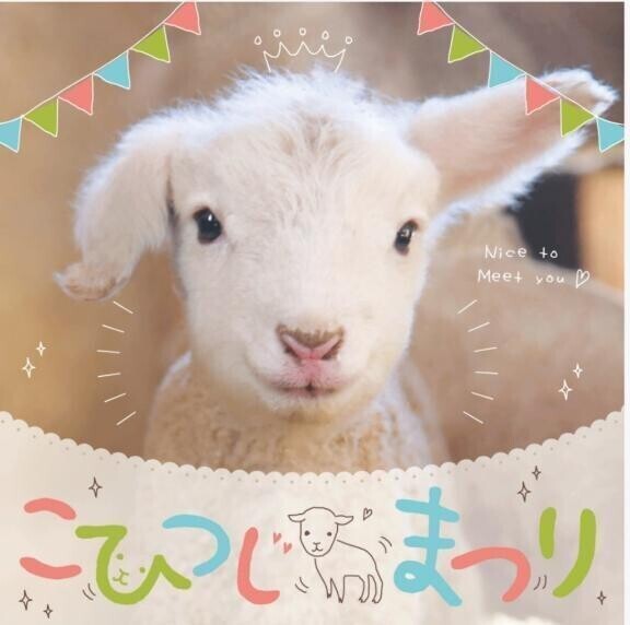 赤ちゃんラッシュ(ӦｖӦ｡)