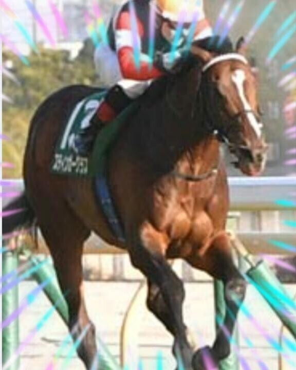 カンパーナ君惜しい…??