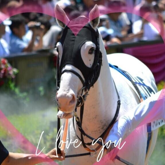 アマンテビアンコ君?(?ｖ?｡)