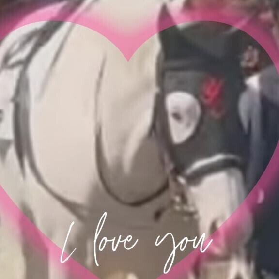 スノーエルヴァちゃん?(?ｖ?｡)