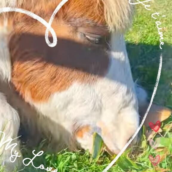 ご飯食べよう♪ヽ(｀▽´)/♪