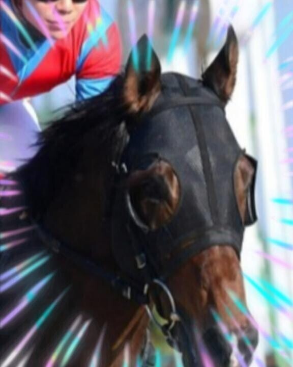 大事に至らず安心しました♪