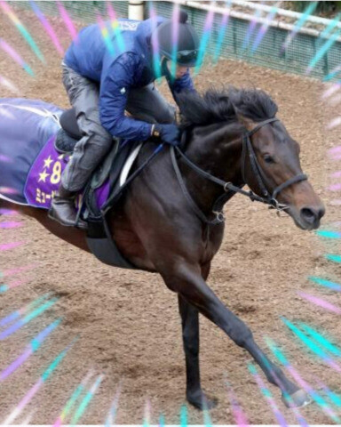 ミュージアムマイル君