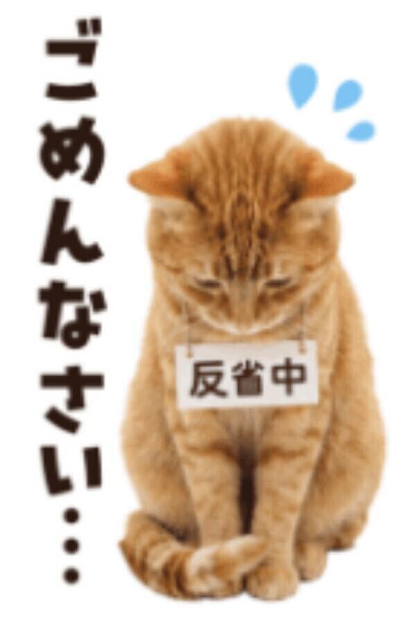 申し訳ありません