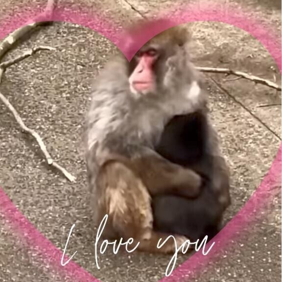 ギュッと(ӦｖӦ｡)