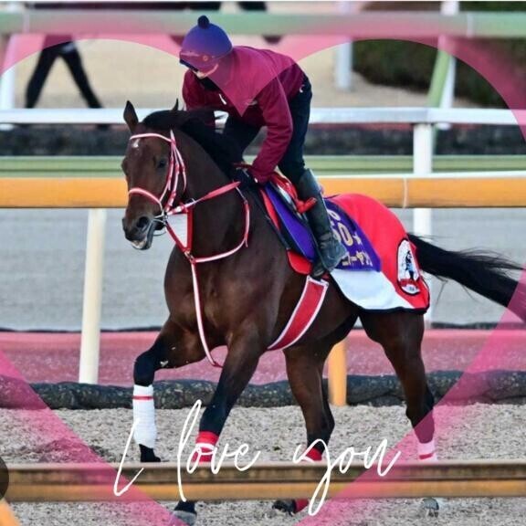 フォーエバーヤング君だけ…?