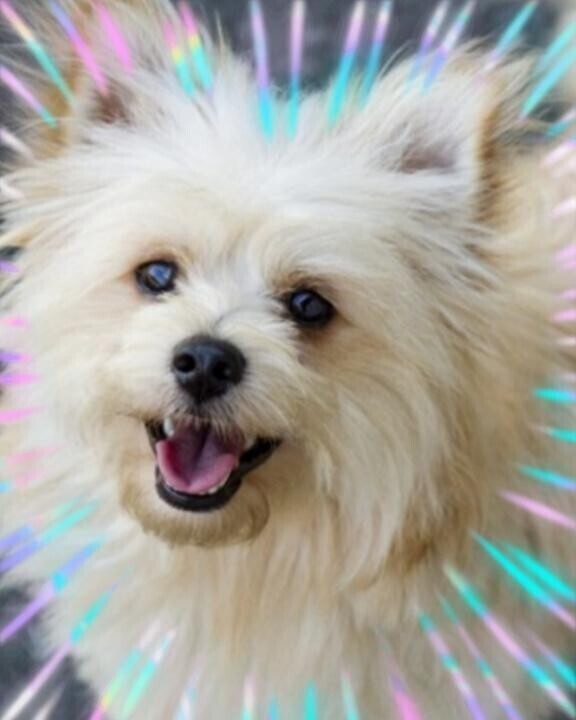 朝から幸せ?(?ｖ?｡)