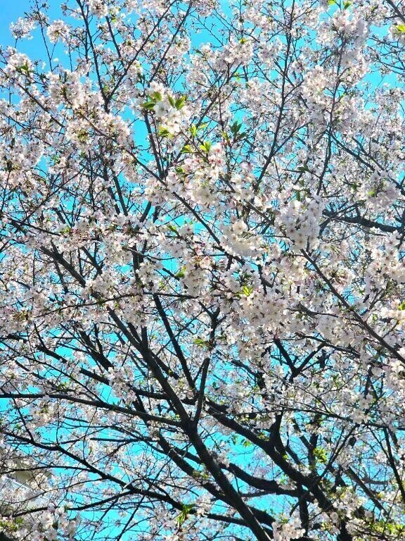 ギリギリ間に合った