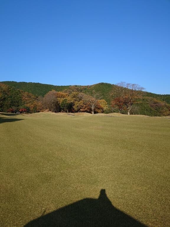 おはようございます