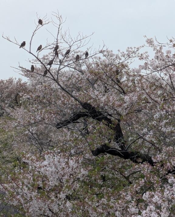 何故か一箇所に…