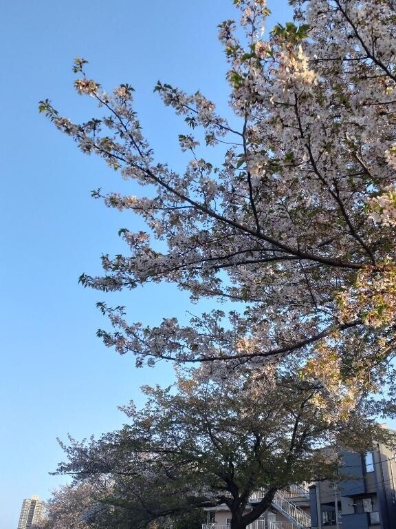 なぁんも、しない日♪
