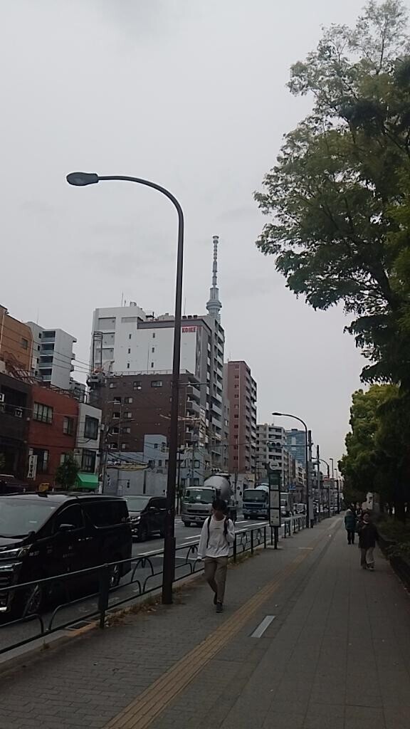 おはようございます?