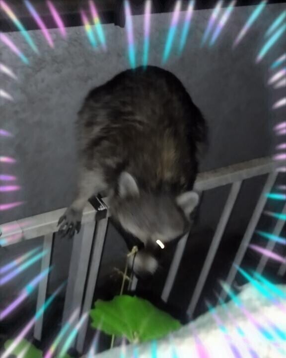 どんだけ田舎なん！？