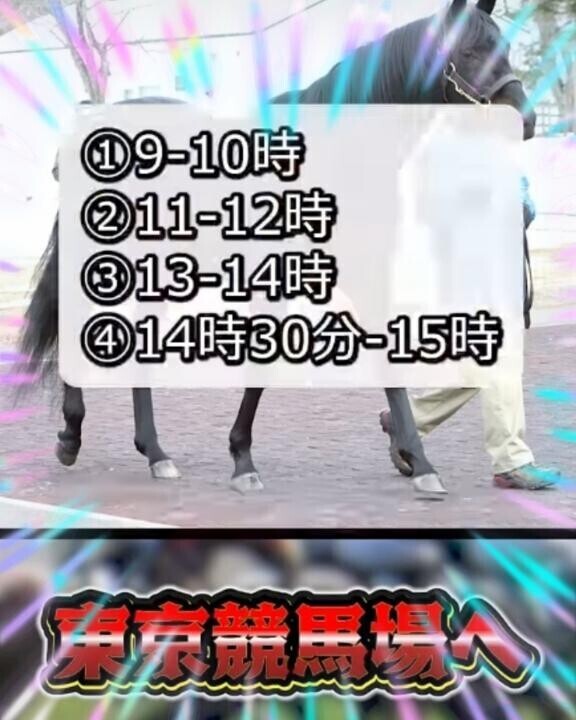 エイシンフラッシュが♪ヽ(｀▽´)/♪