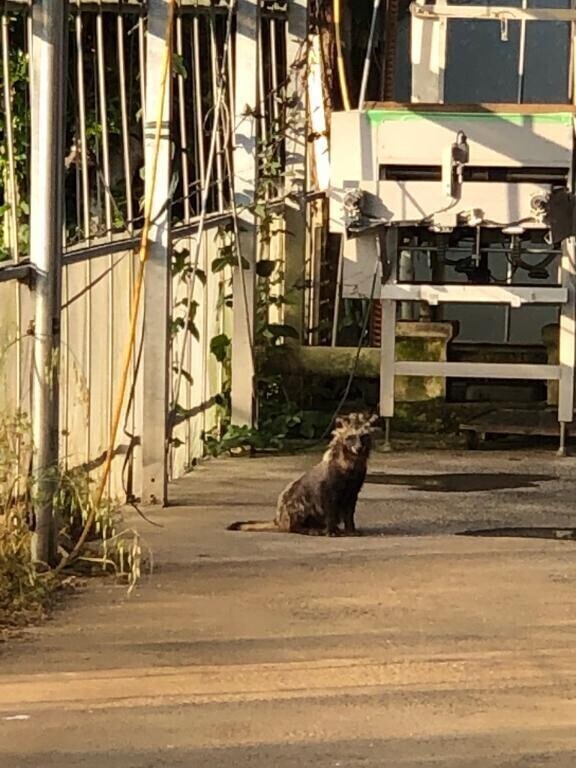 おはようございます