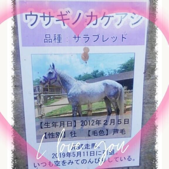 カイロ２個でも寒すぎるっ