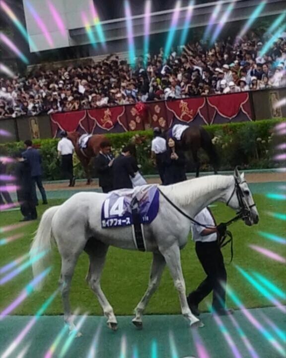 来ました♪東京競馬場?(?ｖ?｡)