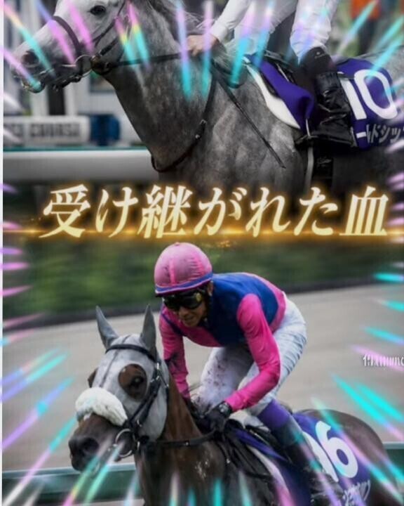 毎日観ていてます（父子連覇）