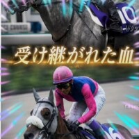 本上