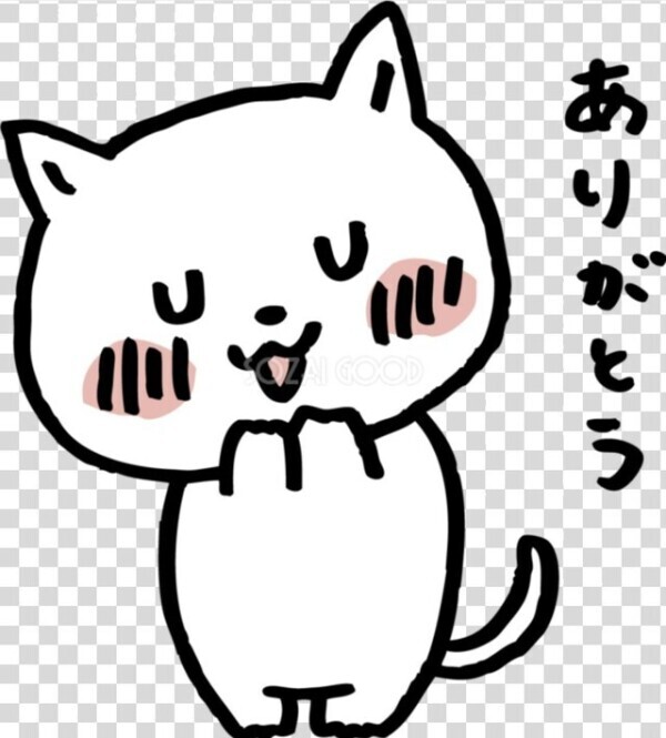 今日のお礼✨と予定